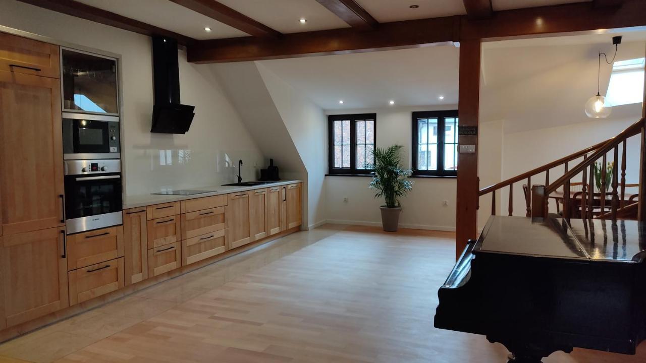 Apartamenty Ceglane Torun Bagian luar foto