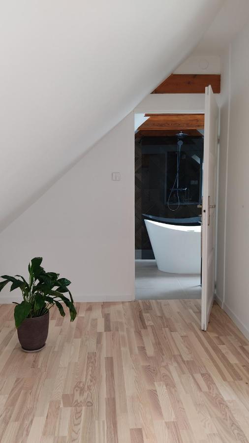 Apartamenty Ceglane Torun Bagian luar foto